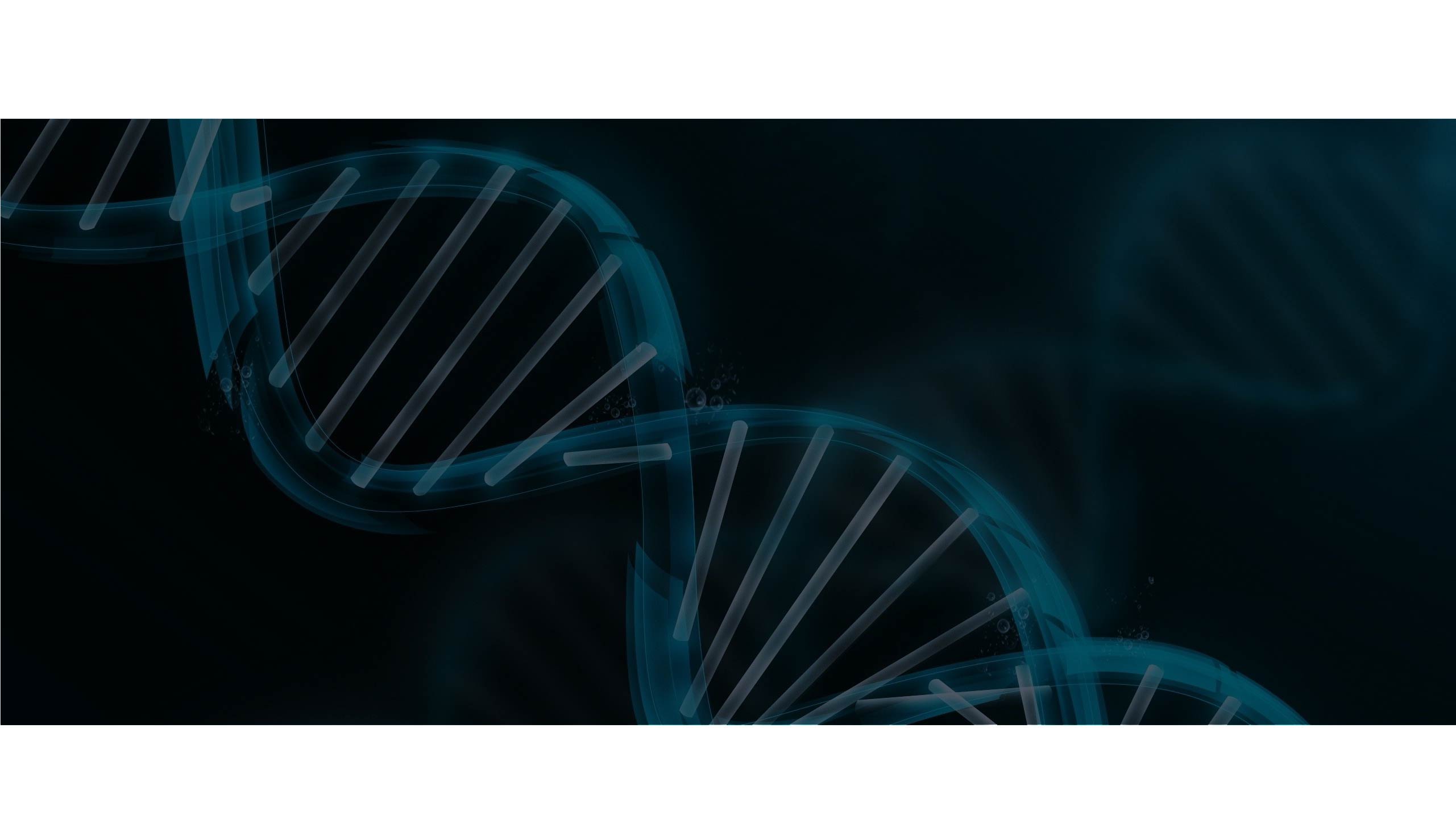 ADN Selection – Consultoría en Recursos Humanos